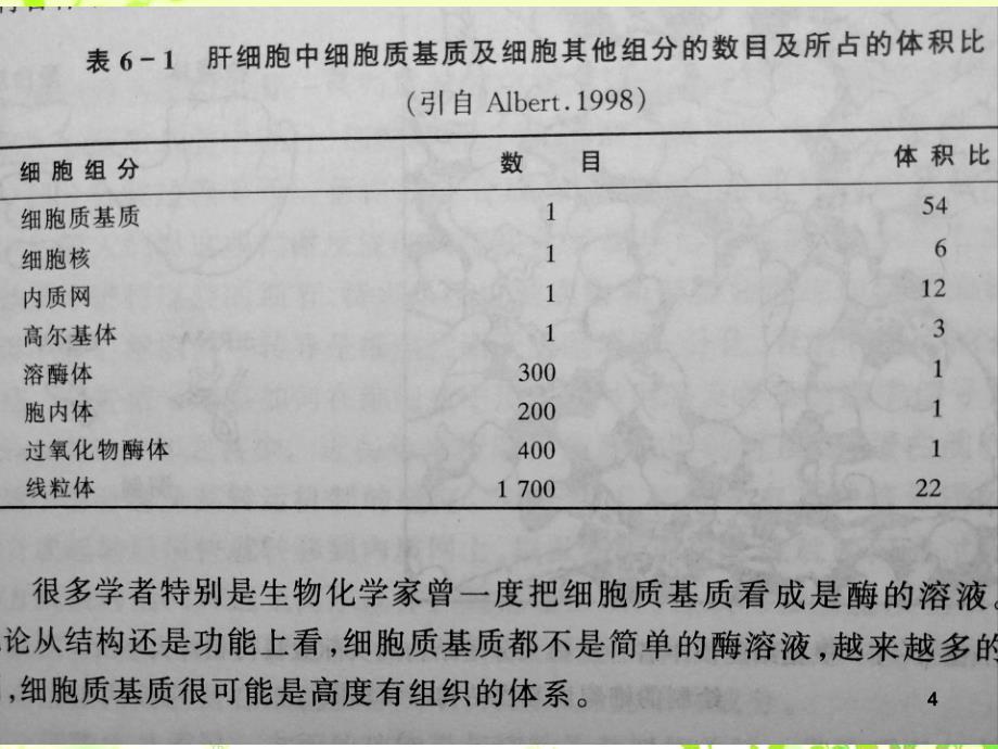 高三一轮复习细胞器ppt课件_第4页