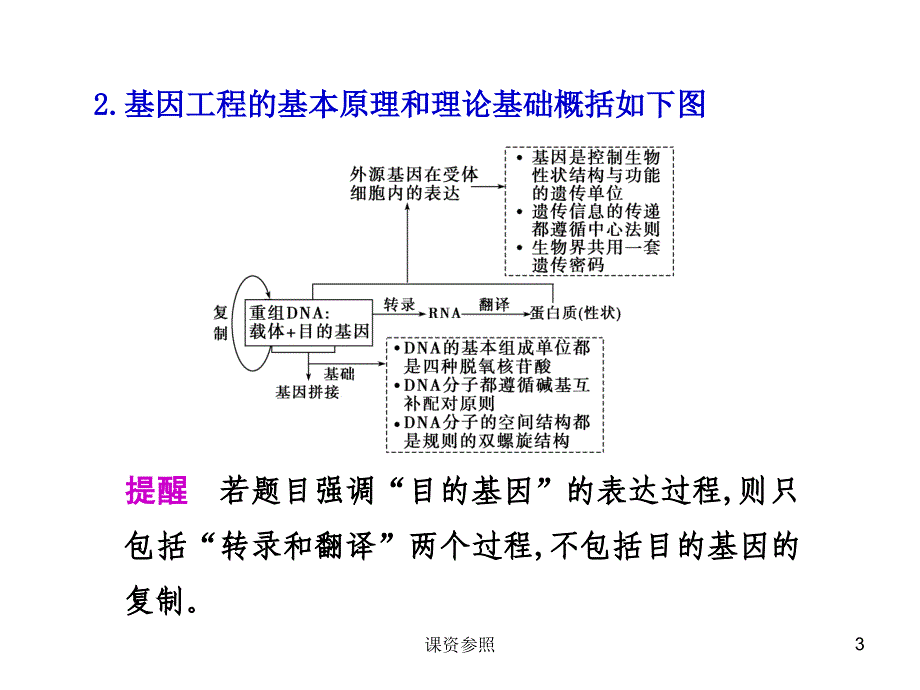 基因工程的基本工具和基本操作程序（谷风课资）_第3页