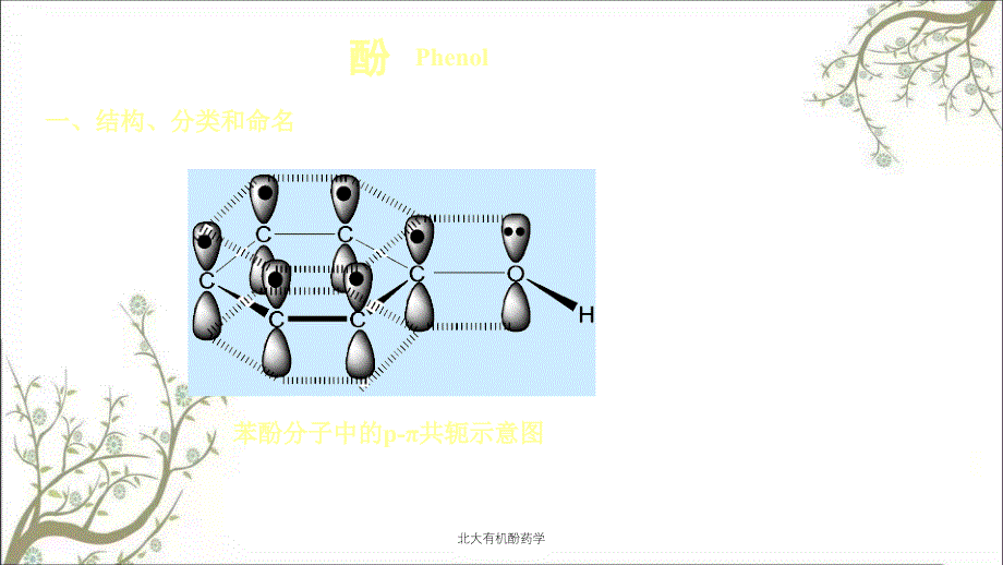 北大有机酚药学课件_第1页