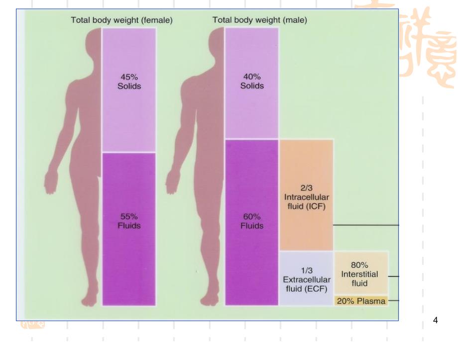 体液与营养代谢_第4页