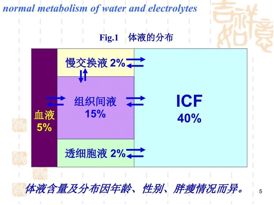 体液与营养代谢_第5页