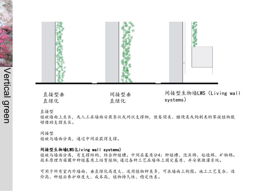 景观-垂直绿化ppt课件_第4页