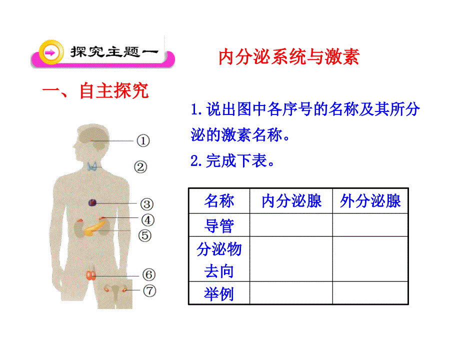 第五章第一节人体的激素调节（济南版七年级下）_第4页