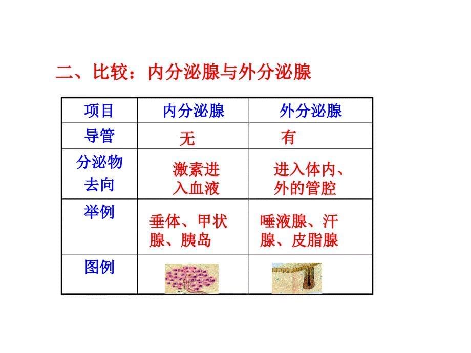 第五章第一节人体的激素调节（济南版七年级下）_第5页