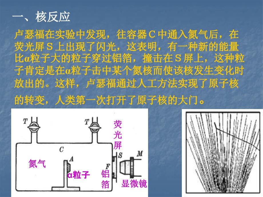 194-放射性的应用与防护-课件(人教版选修3-5)_第2页