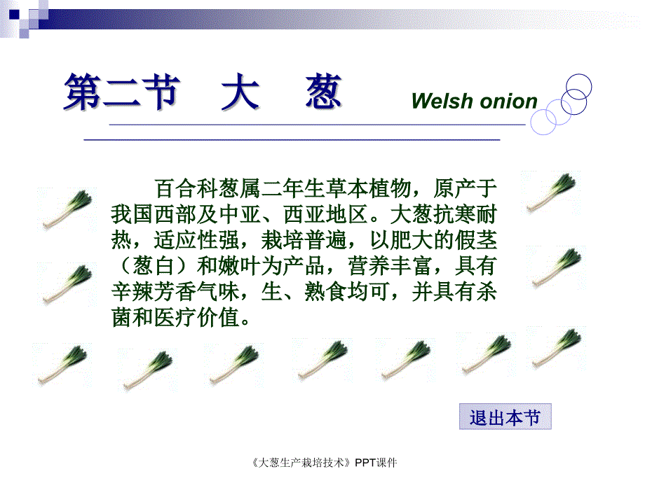 大葱生产栽培技术课件_第1页