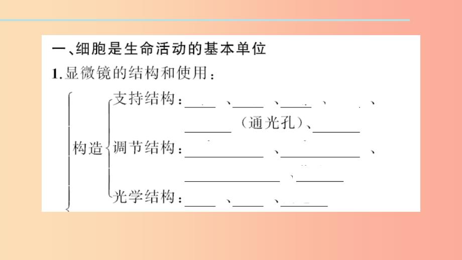 七年级生物上册第二单元生物体的结构层次单元复习习题课件 新人教版.ppt_第3页