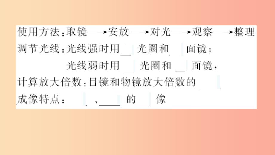 七年级生物上册第二单元生物体的结构层次单元复习习题课件 新人教版.ppt_第4页