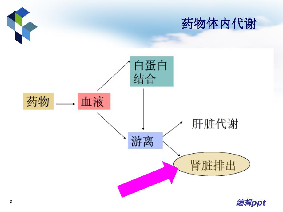 肾功能减退患者抗菌药物的调整加实例ppt课件_第3页