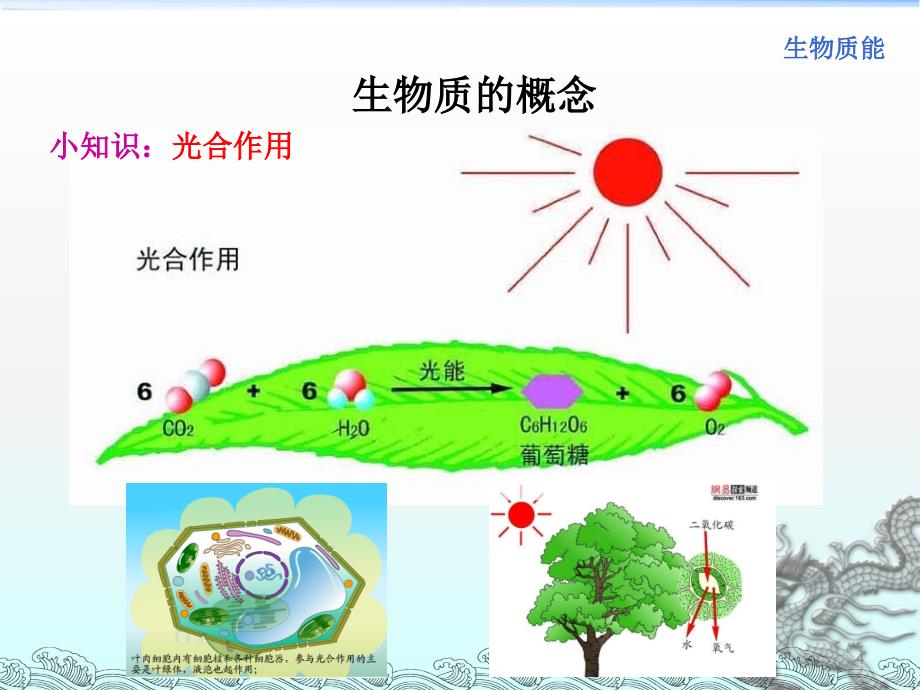 可再生能源发电技术-生物质能及其利用_第4页