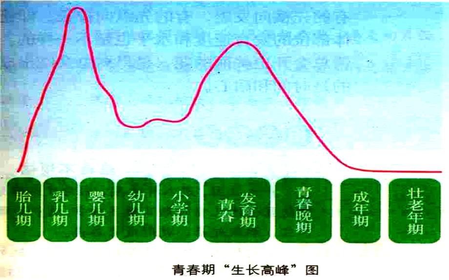 七年级政治上册 2.4 欢快的青节拍课件2 新人教版_第4页