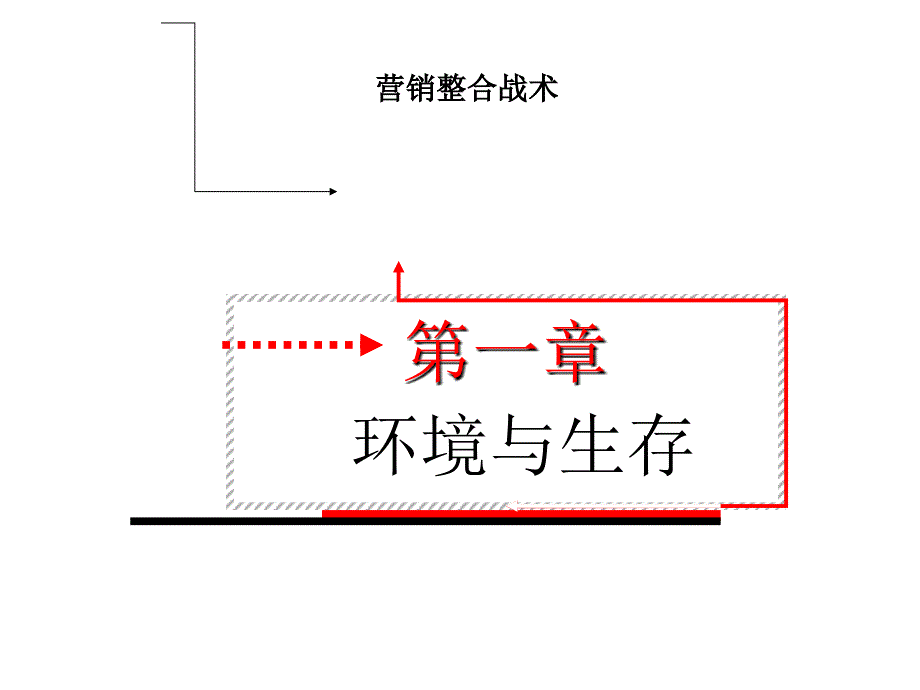 营销整合战术_第1页