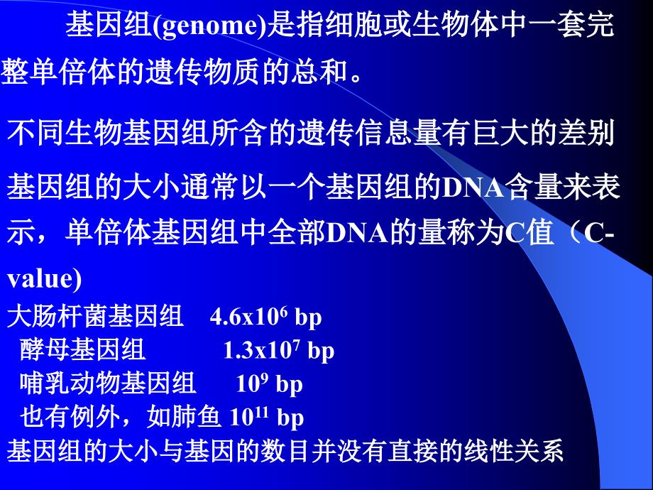 基因组MicrosoftPowerPoint演示文稿_第2页