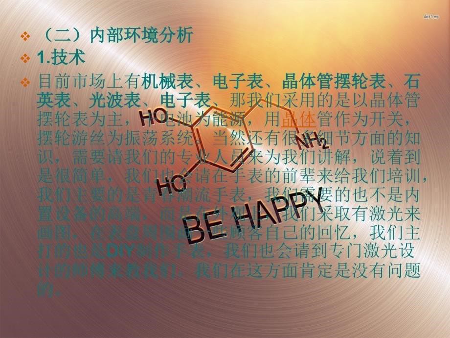 潮流手表营销策划案_第5页