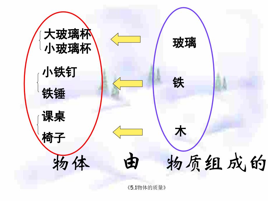 5.1物体的质量课件_第3页