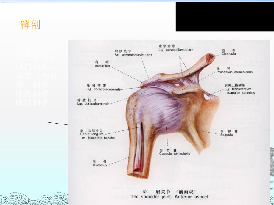 肩周炎康复治疗ppt课件_第4页