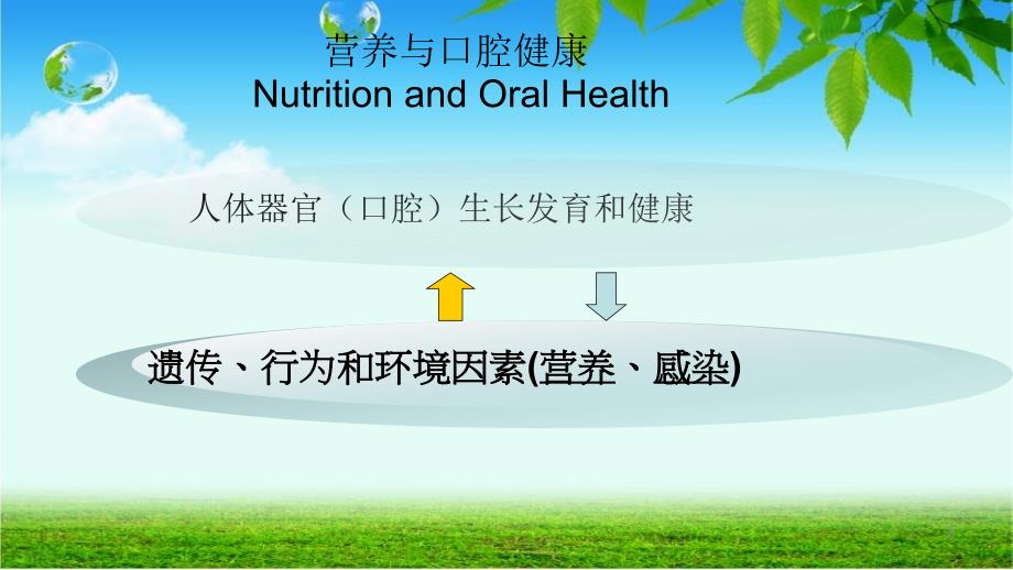 营养与口腔健康PPT课件_第2页