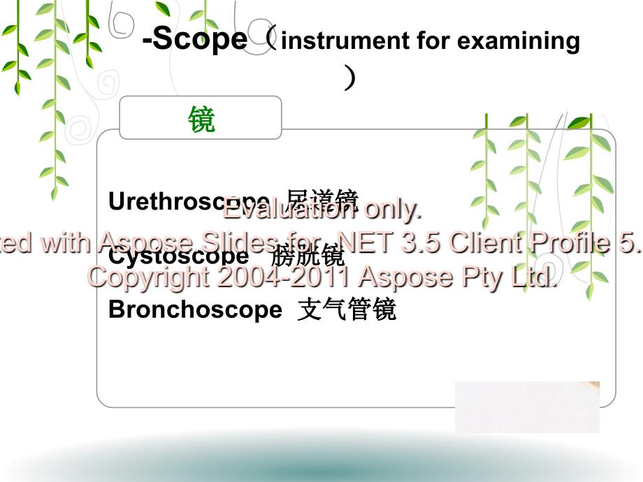 手术和检测的医学英语名词后缀.ppt_第4页