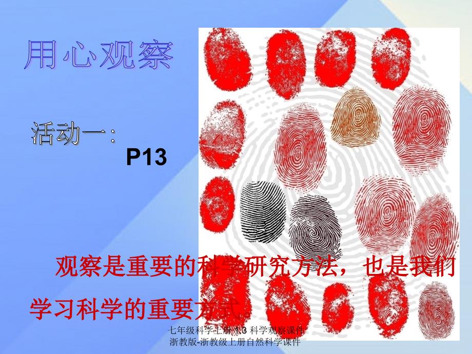 最新七年级科学上册1.3科学观察课件浙教版浙教级上册自然科学课件_第3页