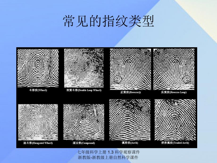 最新七年级科学上册1.3科学观察课件浙教版浙教级上册自然科学课件_第4页