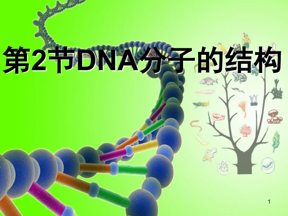 DNA分子的结构优质课课堂PPT_第1页