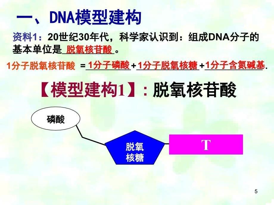 DNA分子的结构优质课课堂PPT_第5页