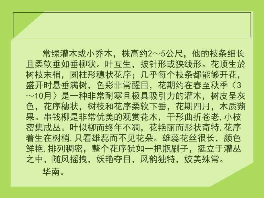 南北方常用园林植物(3)教学提纲_第5页