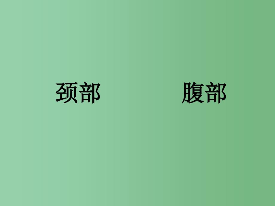 三年级语文下册第4单元14登上企鹅岛课件10语文S版A_第3页