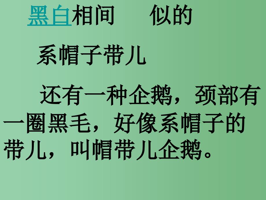 三年级语文下册第4单元14登上企鹅岛课件10语文S版A_第4页