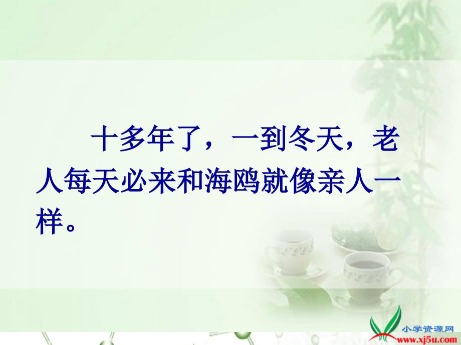 六年级语文上册老人与海鸥6课件人教新课标版课件_第3页