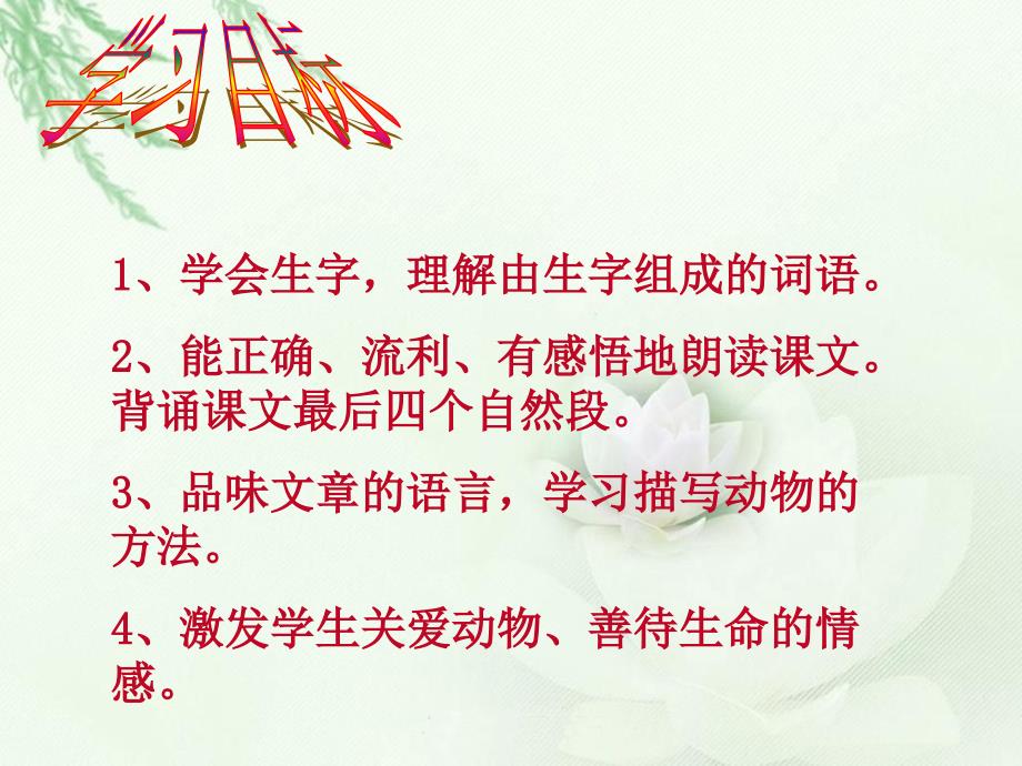 《珍珠鸟》教学课件_第2页