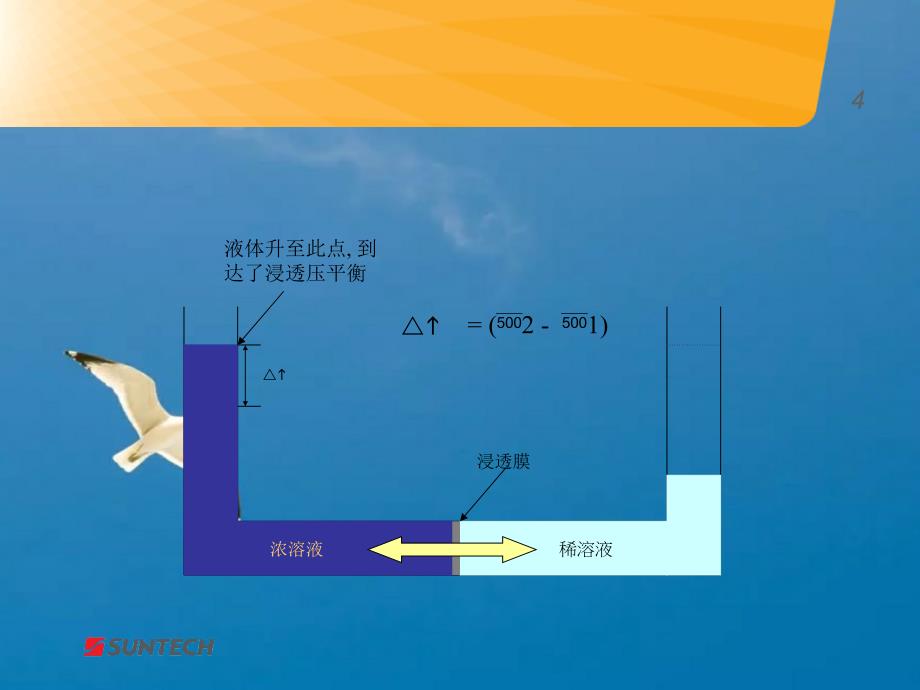 RO系统培训ppt课件_第4页