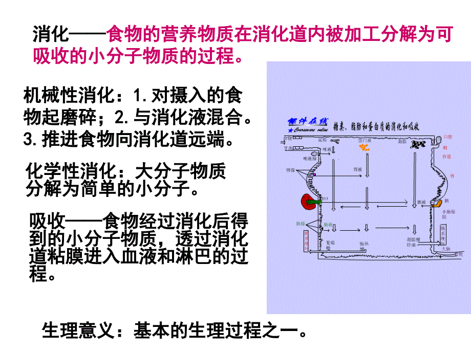 专科六版消化与吸收_第4页