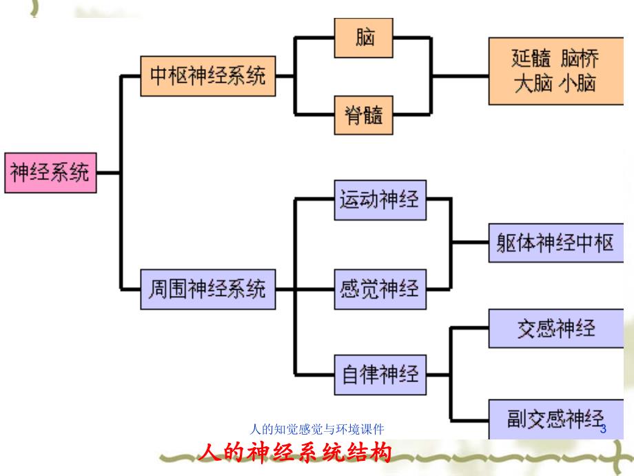 人的知觉感觉与环境课件_第3页