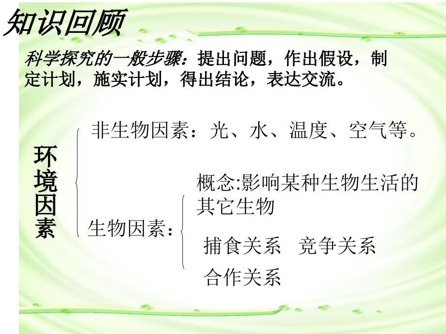 第一单元第二章第二节生物与环境构成生态系统_第2页