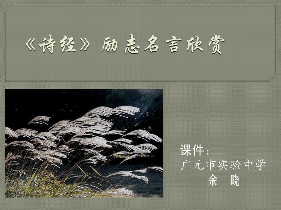《诗经》励志名言欣赏_第1页