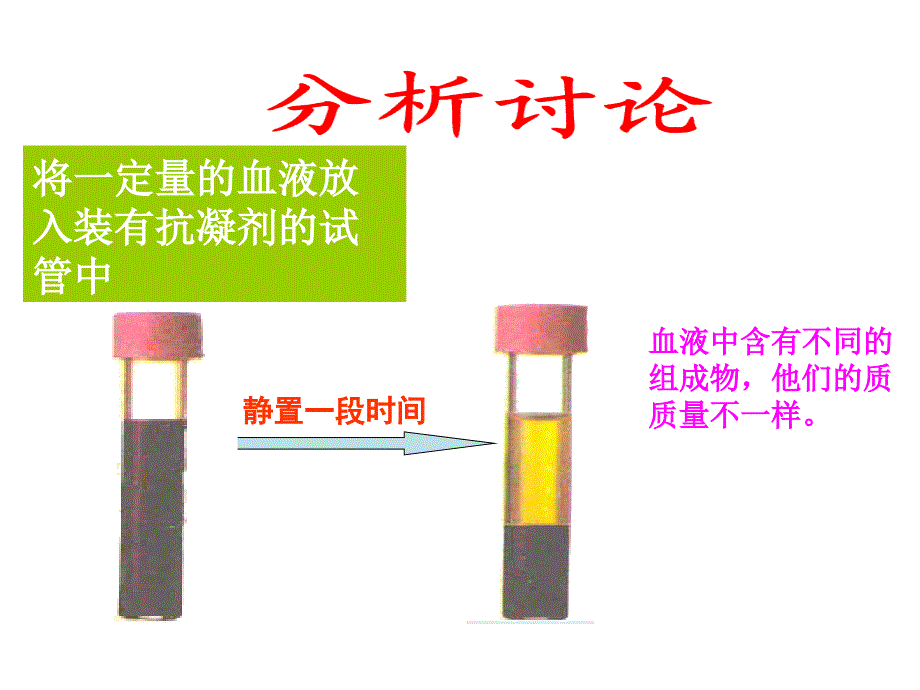 第四章第一节流动的组织—血液111_第4页