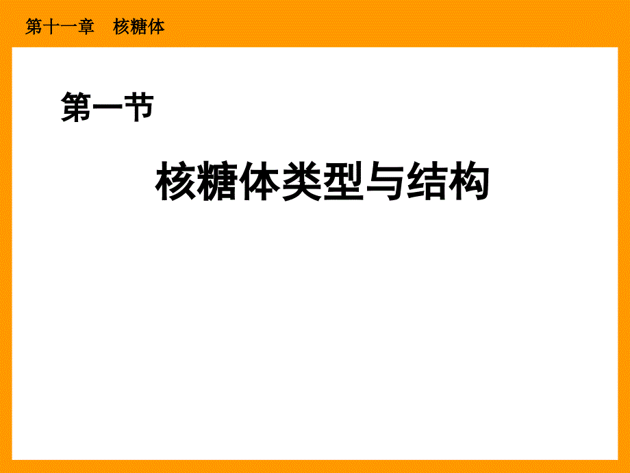 细胞生物学110 核糖体_第2页