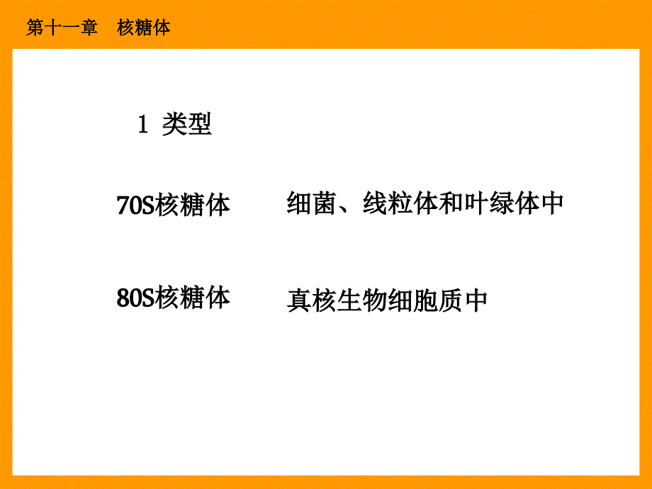 细胞生物学110 核糖体_第3页