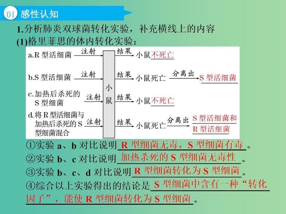 （全国通用版）2019版高考生物一轮复习 第2部分 遗传与进化 第二单元 基因的本质与表达 第1讲 DNA是主要的遗传物质课件.ppt_第5页