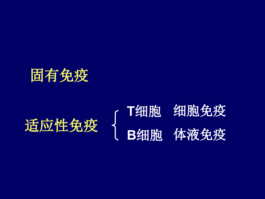 医学免疫学：第十二章 适应性免疫：T淋巴细胞对抗原的识别及免疫应答_第3页