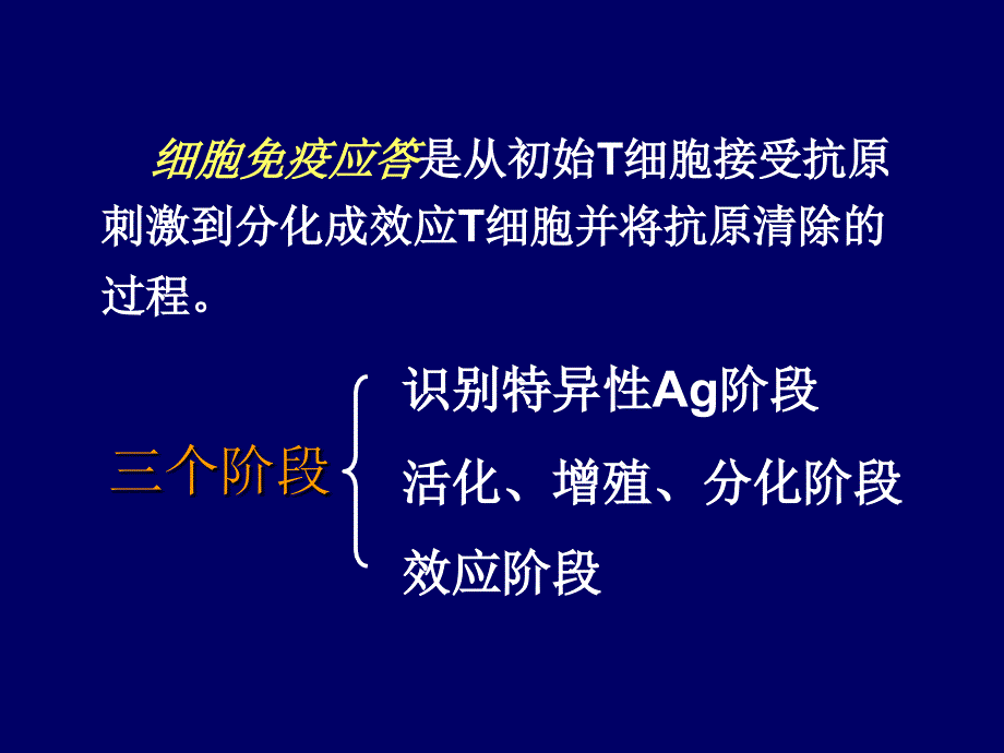 医学免疫学：第十二章 适应性免疫：T淋巴细胞对抗原的识别及免疫应答_第4页