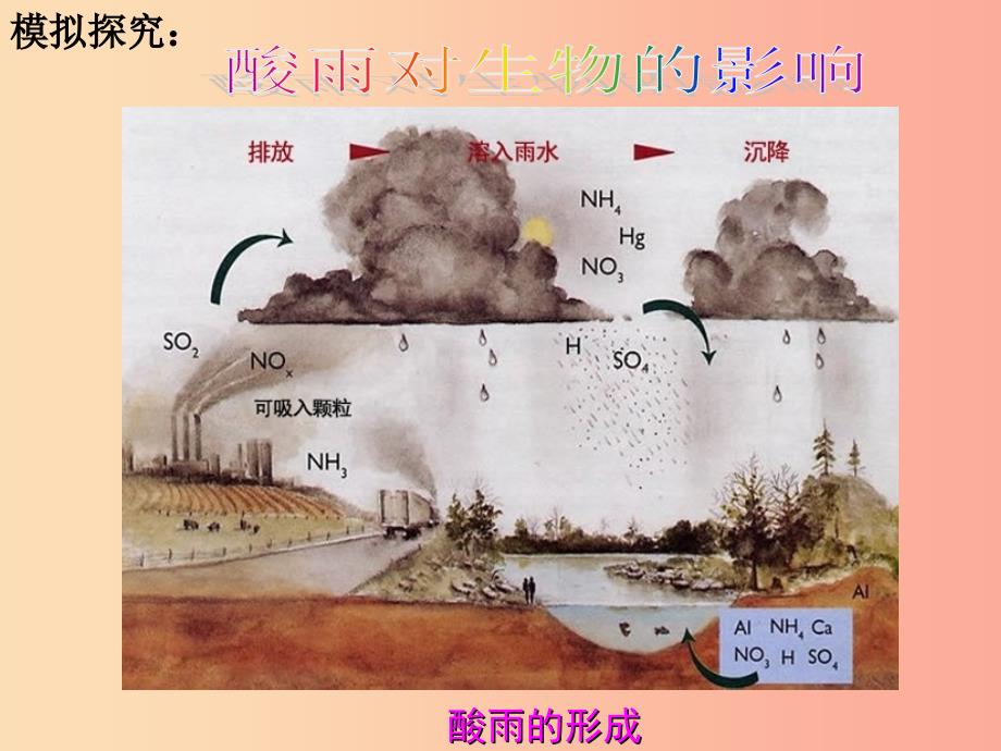 七年级生物下册 4.7.2 探究环境污染对生物的影响课件1 新人教版.ppt_第2页