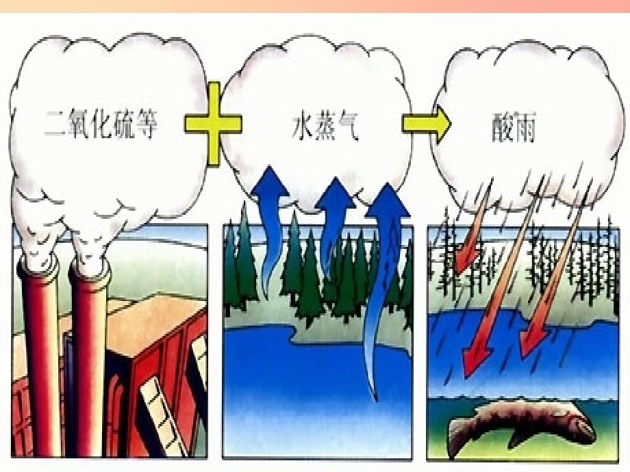 七年级生物下册 4.7.2 探究环境污染对生物的影响课件1 新人教版.ppt_第3页