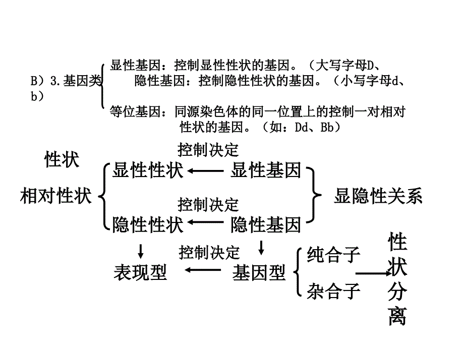 遗传概念及关系的总结.ppt_第2页