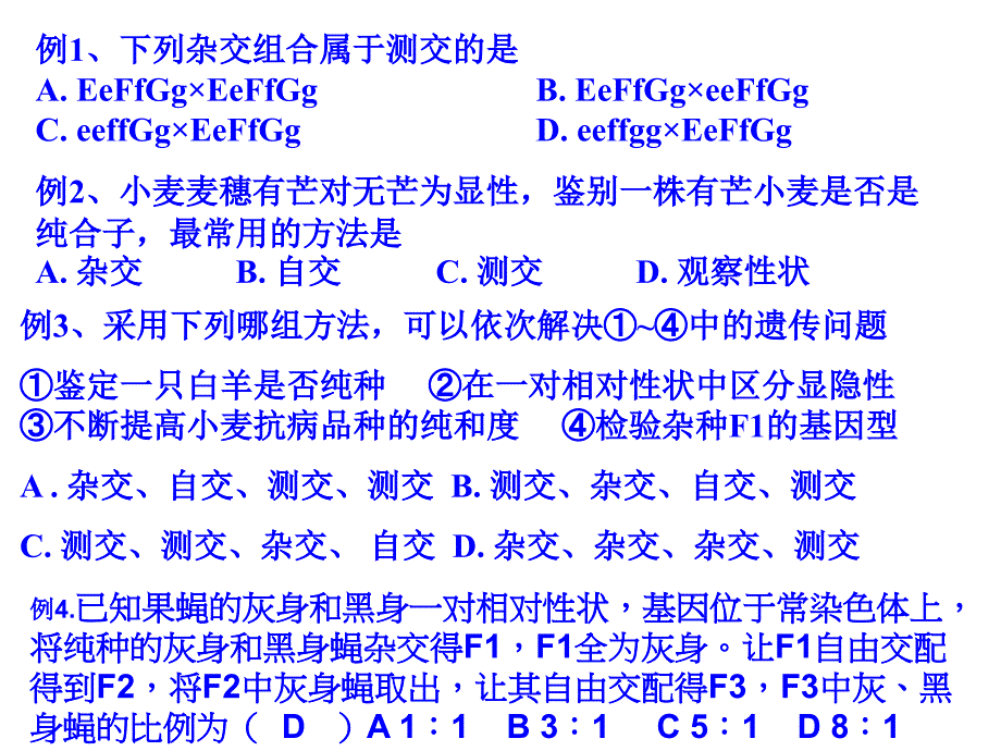 遗传概念及关系的总结.ppt_第4页