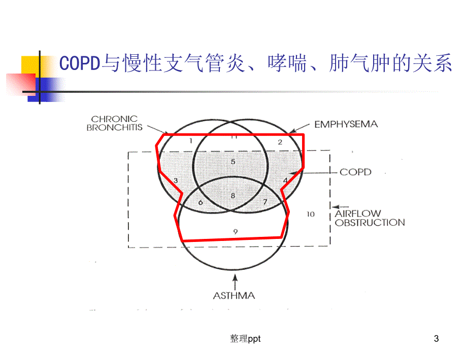 慢性阻塞性肺疾病内科_第3页