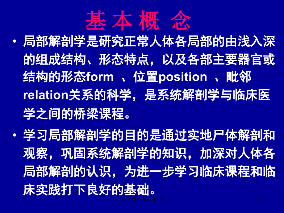 体下肢的局部解剖课件_第3页