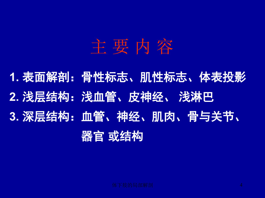 体下肢的局部解剖课件_第4页