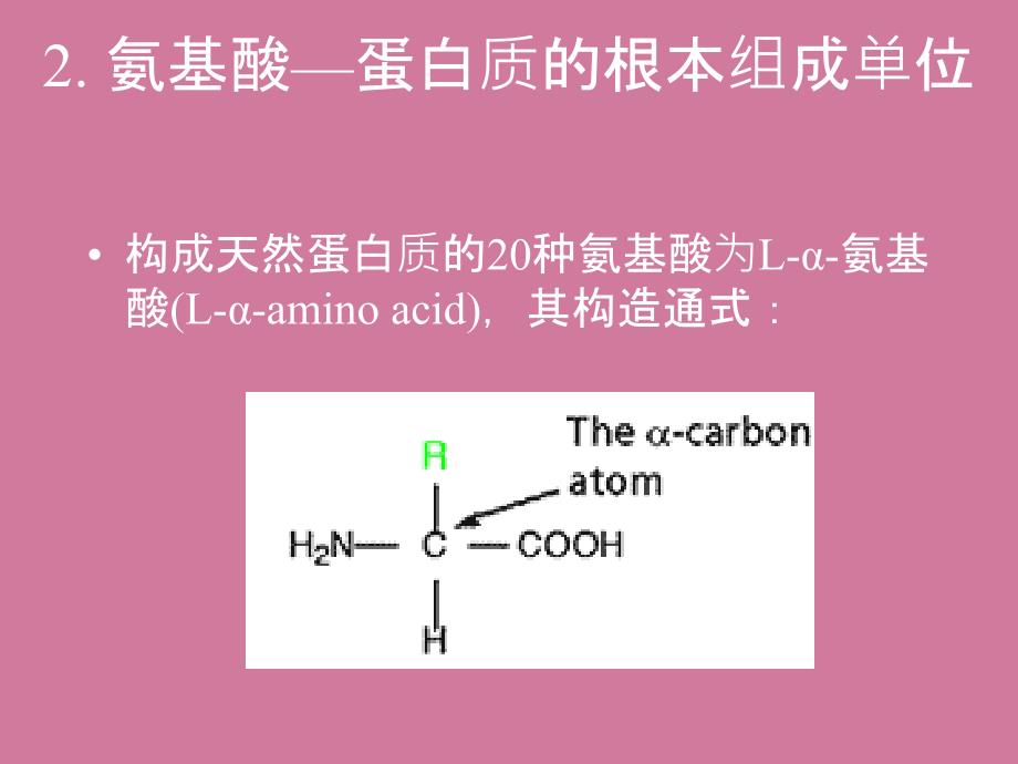 蛋白质的生物学作用ppt课件_第3页